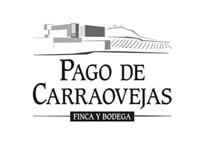 Pago de Carraovejas