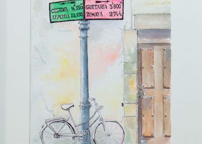 Patricia Schaan Amilibia