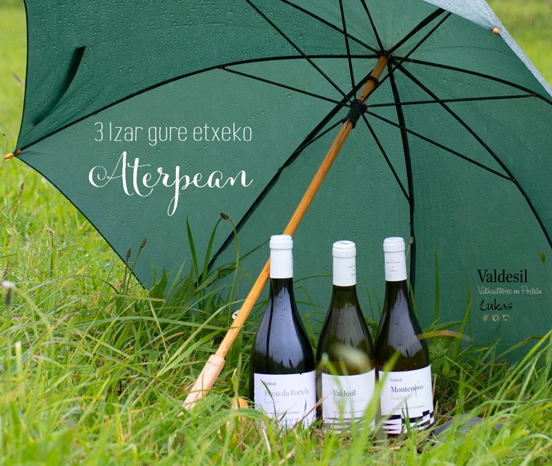 3 Izar gure etxeko aterpean