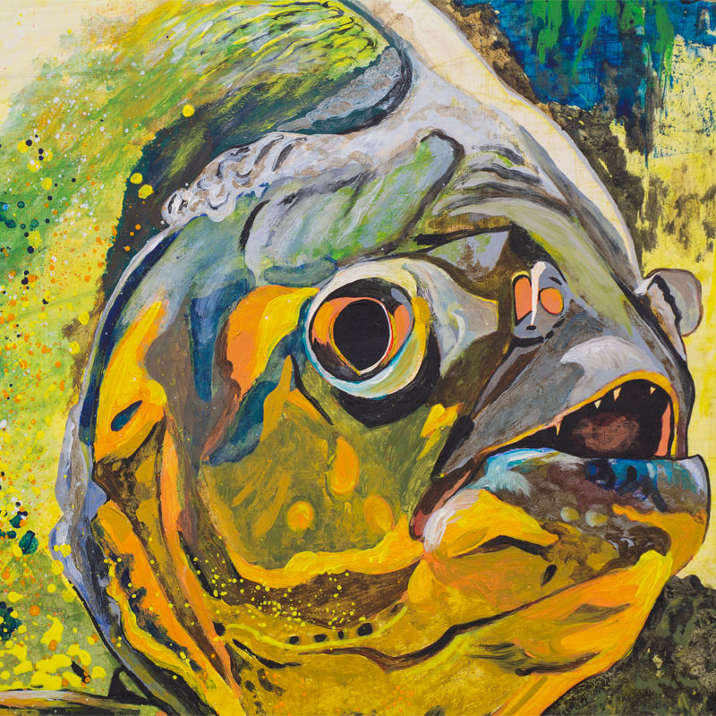 Pedro Antonio Palacin