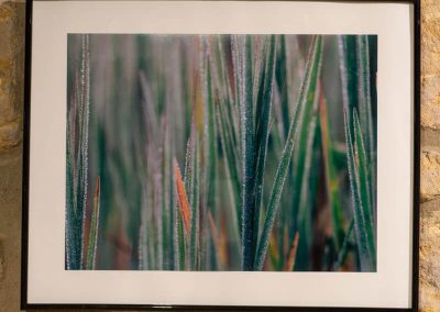 Ainara Garcia - Naturari begiradak