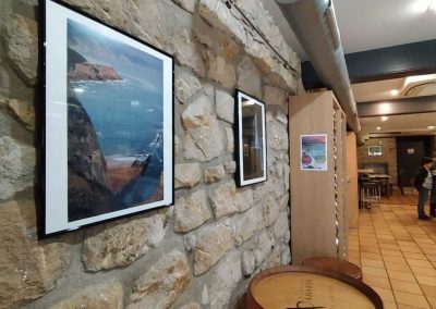 Ainara Garcia - Naturari begiradak