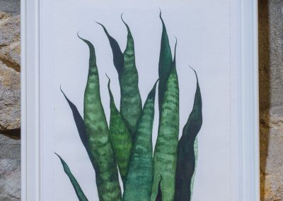 Nahia Coello - acuarelas basadas en la naturaleza