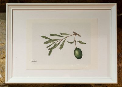 Nahia Coello - acuarelas basadas en la naturaleza