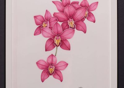 Nahia Coello - acuarelas basadas en la naturaleza