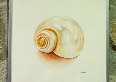 Nahia Coello - acuarelas basadas en la naturaleza