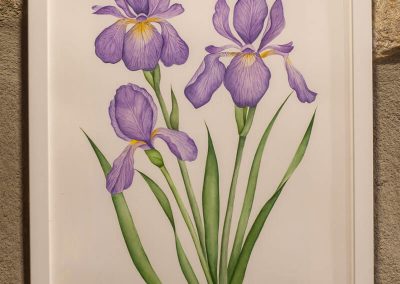 Nahia Coello - acuarelas basadas en la naturaleza