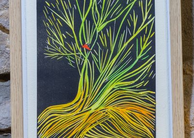 Txantxangorria - Xilografia + akuarela