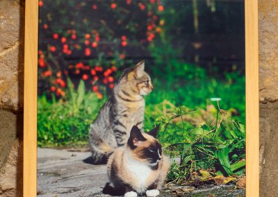 Begiradak - Patricia Schaan Amilibia