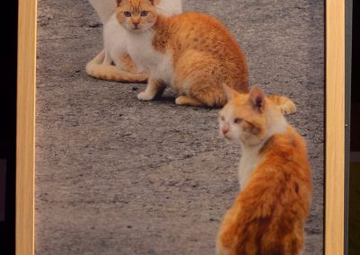 Begiradak - Patricia Schaan Amilibia