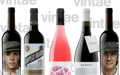 Explorando nuevos vinos. Vintae