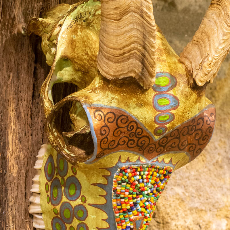 Nerea Linazasoro Illarramendi