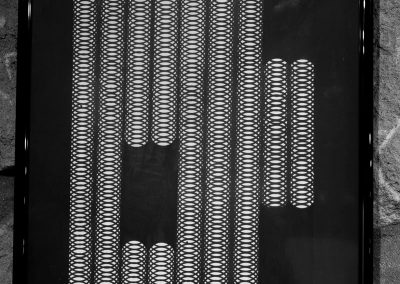 Erruduna! - Zurriola ikastola