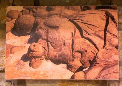 Isabel Agirretxe - LABETXU