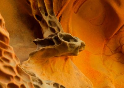 Isabel Agirretxe – El valle de los colores